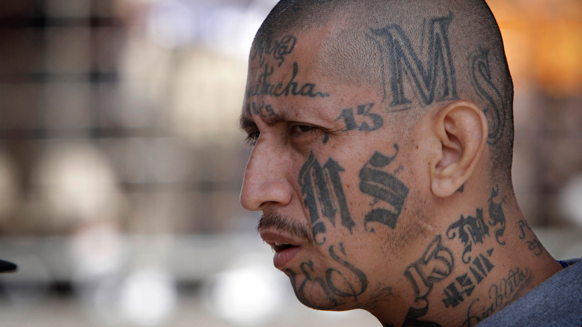 The MS-13 Gang: Destroying a New York Village's Sense of Community