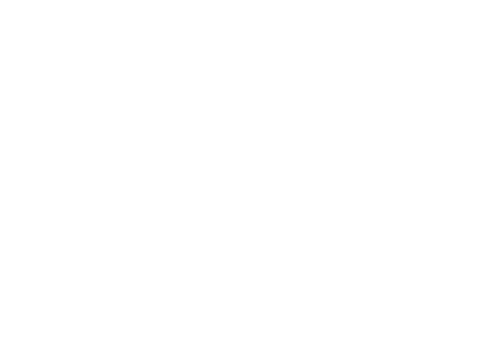 Can't Turn Us Around: Alabama's Foot Soldiers